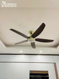  Quạt trần đèn 5 cánh QTD051 