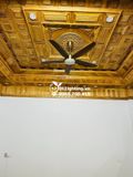  Quạt trần đèn 5 cánh QTD051 