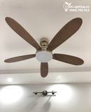 Quạt trần đèn 5 cánh QTD051 