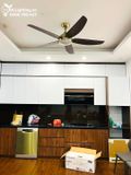  Quạt trần đèn 5 cánh QTD051 