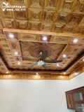  Quạt trần đèn 5 cánh QTD051 