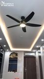  Quạt trần đèn 5 cánh QTD052 
