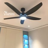  Quạt trần đèn 5 cánh QTD052 