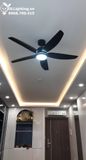 Quạt trần đèn 5 cánh QTD052 
