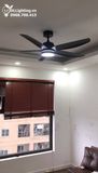  Quạt trần đèn 5 cánh QTD052 