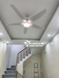  Quạt trần đèn 5 cánh QTD053 