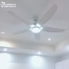 Quạt trần đèn 5 cánh QTD053