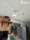  Quạt trần đèn 5 cánh QTD053 