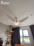  Quạt trần đèn 5 cánh QTD053 