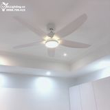  Quạt trần đèn 5 cánh QTD053 