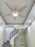  Quạt trần đèn 5 cánh QTD053 