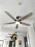  Quạt trần đèn 5 cánh QTD054 