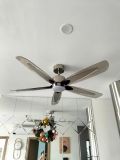  Quạt trần đèn 5 cánh QTD054 