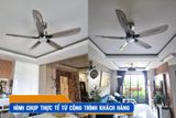  Quạt trần đèn 5 cánh QTD054 