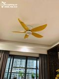  Quạt trần đèn cổ ngắn QTD055 