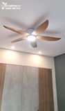  Quạt trần đèn cổ ngắn QTD055 