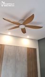  Quạt trần đèn cổ ngắn QTD055 