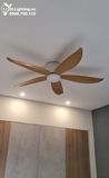  Quạt trần đèn cổ ngắn QTD055 