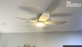 Quạt trần đèn cổ ngắn QTD056 