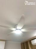  Quạt trần đèn cổ ngắn QTD056 