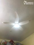  Quạt trần đèn cổ ngắn QTD056 