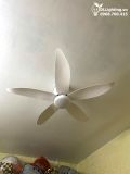 Quạt trần đèn cổ ngắn QTD056 