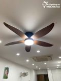  Quạt trần đèn cổ ngắn QTD057 