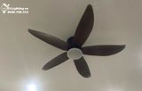 Quạt trần đèn cổ ngắn QTD057 