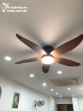  Quạt trần đèn cổ ngắn QTD057 