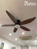  Quạt trần đèn cổ ngắn QTD057 