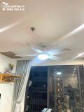  Quạt trần đèn 5 cánh QTD059 