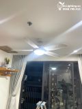  Quạt trần đèn 5 cánh QTD059 