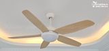  Quạt trần đèn 5 cánh QTD060 