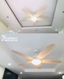 Quạt trần đèn 5 cánh QTD060 