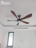  Quạt trần đèn 5 cánh QTD061 