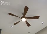  Quạt trần đèn 5 cánh QTD061 
