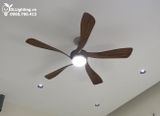 Quạt trần đèn 5 cánh QTD061 