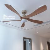 Quạt trần đèn 5 cánh QTD061 