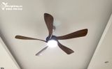  Quạt trần đèn 5 cánh QTD061 