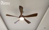  Quạt trần đèn 5 cánh QTD061 