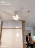  Quạt trần đèn 5 cánh QTD066 