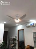  Quạt trần đèn 5 cánh QTD066 