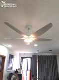  Quạt trần đèn 5 cánh QTD066 