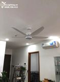  Quạt trần đèn 5 cánh QTD066 
