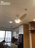  Quạt trần đèn 5 cánh QTD066 
