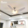 Quạt trần đèn 5 cánh QTD066