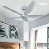  Quạt trần đèn 5 cánh QTD066 