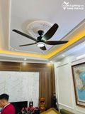  Quạt trần đèn 5 cánh QTD067 