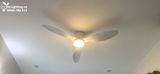  Quạt trần đèn 3 cánh cổ ngắn QTD070 