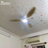  Quạt trần đèn 3 cánh cổ ngắn QTD071 